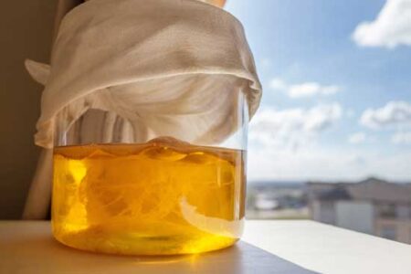 Kombucha for Health and Happiness